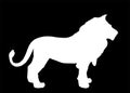 Lion vector silhouette illustration isolated on black background. Animal king.