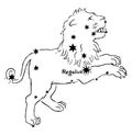 The Lion vintage illustration