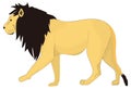 lion walk animal vector illustration transparent background