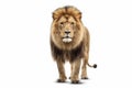 A lion is walking on a white background, created by Generative AI Royalty Free Stock Photo