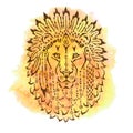 Lion in war bonnet, hand drawn animal illustration