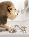 Lion Washing Paws in Bathroom In Front of Mirror Royalty Free Stock Photo