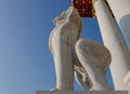 Lion in Wat Benchamabophit, Bangkok, Thailand