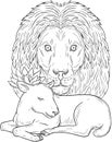 Lion Watching Over Sleeping Lamb Drawing