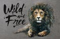 Lion watercolor painting with background predator animals King of animals wild & free Royalty Free Stock Photo