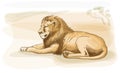 Lion. Watercolor style.