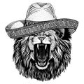 Lion wearing traditional mexican hat. Classic headdress, fiesta, party.