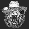 Lion. Wild animal portrait. Sombrero is traditional mexican hat. Mexico.Face of african cat.