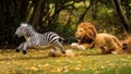 A lion and zebra are running in the grass with trees behind them, AI Royalty Free Stock Photo