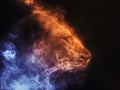 Lioness abstract smoke illustration - blue and orange