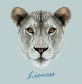 Lioness animal cute face. Vector African wild lion cat head portrait. Realistic fur portrait of lioness isolated on blue Royalty Free Stock Photo