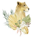 Lioness - big cats. Watercolor animal africa wildlife. Boho tropical leaves, dried botanical garden and floral. Exotic illustratio