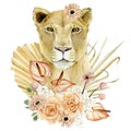 Lioness - big cats. Watercolor animal africa wildlife. Boho tropical leaves, dried botanical garden and flowers. Exotic illustrati