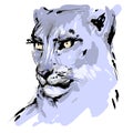 Lioness head with yellow eyes drawing, vector hand drawn sketch