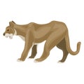 Lioness icon, cartoon style Royalty Free Stock Photo