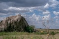 Lioness lying on the huge rock - Tanzania national park Royalty Free Stock Photo