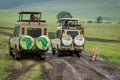 Lioness on muddy grass meadow passes jeeps