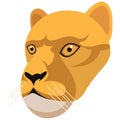 Lioness portrait made in unique simple cartoon style. Head of lion. Isolated icon for your design Royalty Free Stock Photo