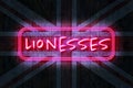 Lionesses Its Coming Home 3D illustration on a Union Jack Background Royalty Free Stock Photo