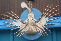 Lionfish Aquarium Sign Royalty Free Stock Photo