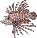 Lionfish Illustration
