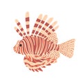 Lionfish isolated on white background. Beautiful aquatic character in stripes in hand drawn style