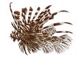 Lionfish. Vector illustration decorative design