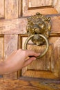 Lionhead knocker