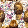 Lions and barique floral elements. Royalty Free Stock Photo