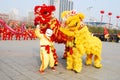 Lions Dance in Chinese spring festival