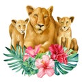 Lions family on isolated white background watercolor botanical painting. Poster Royalty Free Stock Photo