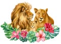 Lions family on isolated white background watercolor painting. Art poster Royalty Free Stock Photo