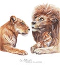 Lions family watercolor illustration. Royalty Free Stock Photo
