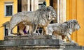 Lions of the Feldherrnhalle Field Marshals` Hall