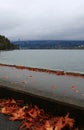 Lions Gate Bridge, Fall Color, Autumn leaves, City Landscape in Stanley Paark, Downtown Vancouver, British Columbia Royalty Free Stock Photo