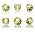 Lions with a golden mane emblems.