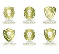 Lions with a golden mane emblems.