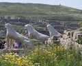 Lions of the naxians, ancient lion statues symbol of Archaeological Site of Delos, Delos Island, Mykonos