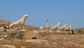 The Lions of the Naxians at the archaeological site in Delos, Greece