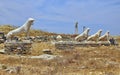 Ancient Delos Ruins, Greece