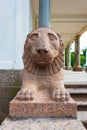 Lions in Peterhof near the Voronikhinskaya Colonnade, Petrodvorets, St. Petersburg Royalty Free Stock Photo