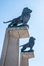 Lions of the Puente de Piedra in Zaragoza, Spain