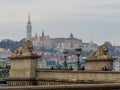 Lions statues, Chain Bridge, Budapest Royalty Free Stock Photo