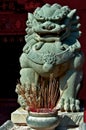 Chinese guardian lions Royalty Free Stock Photo