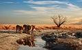 Lions in the watering hole in the Etosha National Park of Namibia Royalty Free Stock Photo