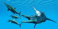 Liopleurodon attacks Ichthyosaurus Royalty Free Stock Photo