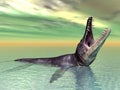 Liopleurodon Royalty Free Stock Photo