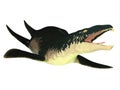 Liopleurodon Marine Reptile