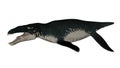Liopleurodon prehistoric fish - 3D render