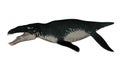 Liopleurodon prehistoric fish - 3D render Royalty Free Stock Photo